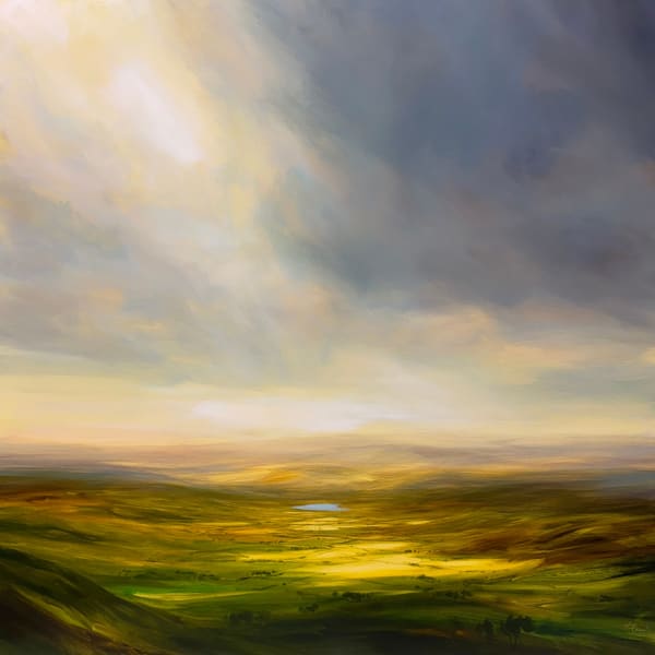 Harry Brioche, ILLUMINATED FIELDS