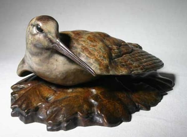 Alan Glasby, WOODCOCK ON LEAVES