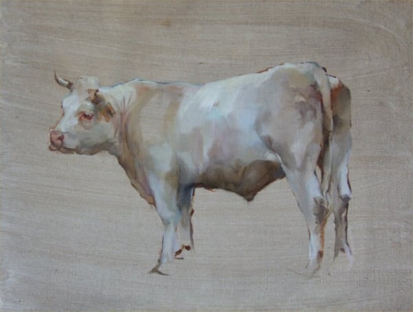 Harriet Salt, YOUNG BULL FROM CHATEAUNEUF