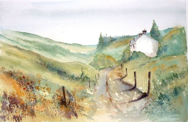 Ann Fellows, TAN Y BENAR