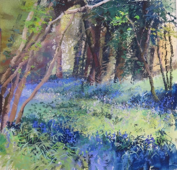 Maureen Davies, BLUEBELLS NEAR CLACK BARN