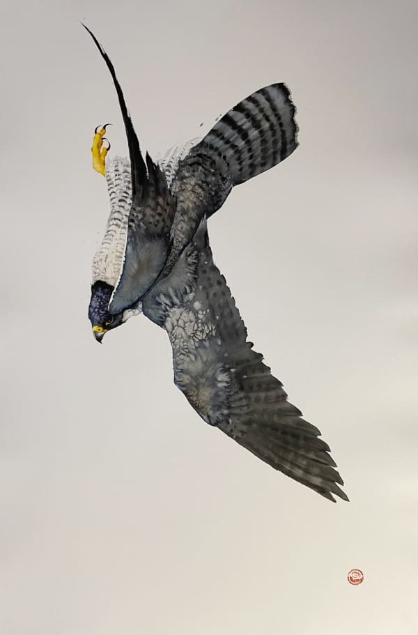 Karl Martens, PEREGRINE FALCON