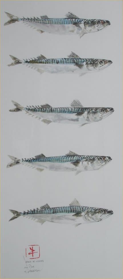 Jean-pierre Guilleron, BANC DE LISETTES