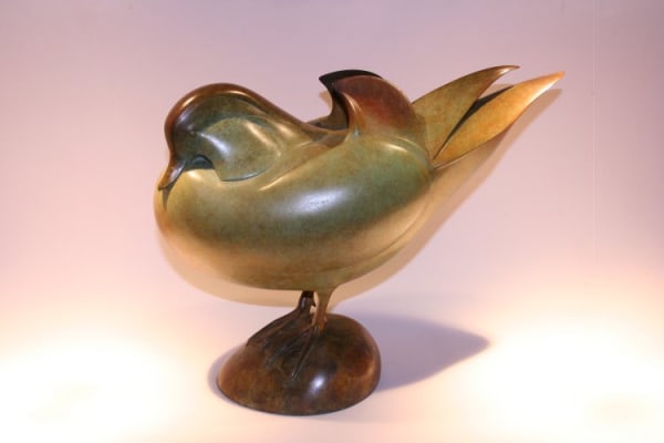 Jonathan Knight, MANDARIN DUCK