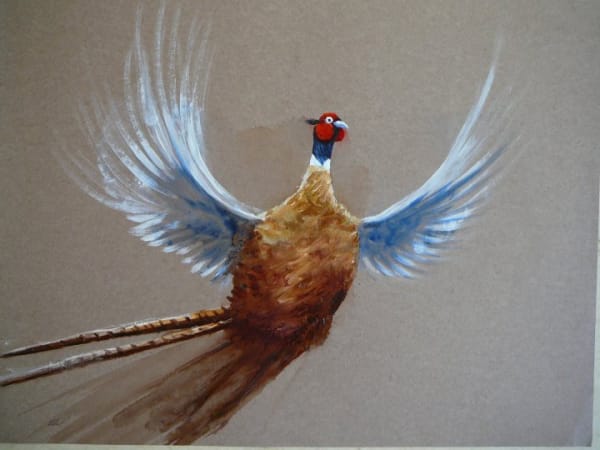 Sarah Elder, TAKE OFF