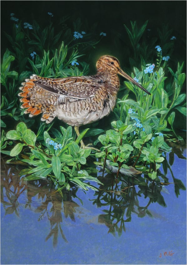 Jonathan Pointer SUNNING SNIPE Oil on canvas 16 x 11 1/2 in 40.6 x 29.2 cm