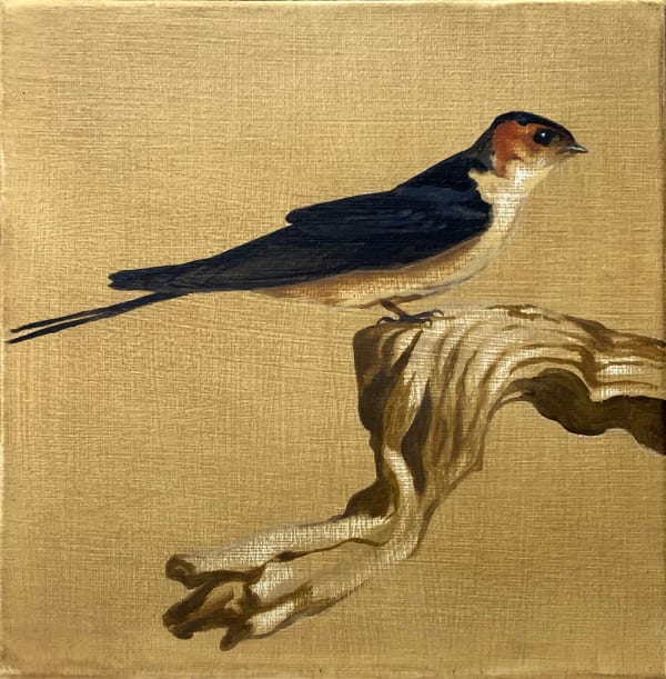 Finn Campbell-Notman SWALLOW 1 Oil on canvas 7 7/8 x 7 7/8 in 20 x 20 cm