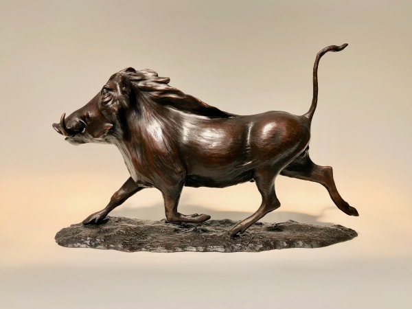 Bryn Parry, RUNNING WARTHOG