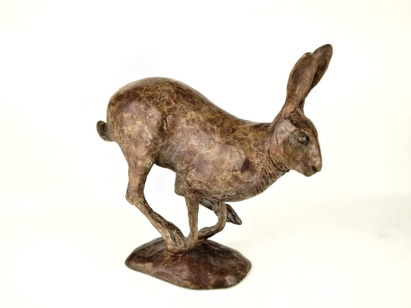 Damien Rochford, RUNNING HARE