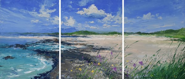 Colin Carruthers, WILD FLOWERS, INCOMING TIDE