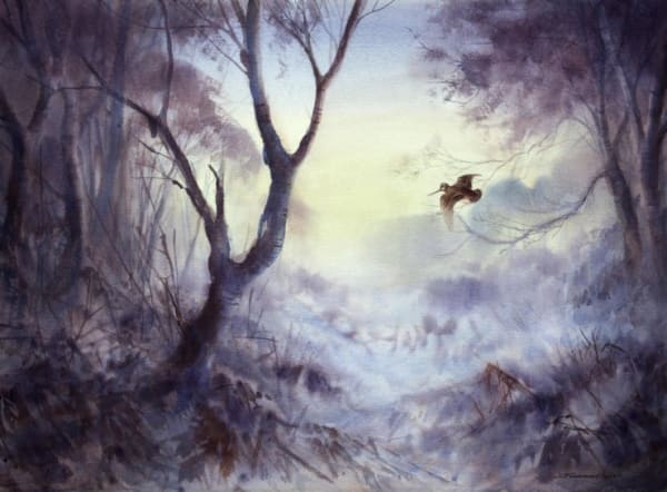 Jonathan Yule, WOODCOCK