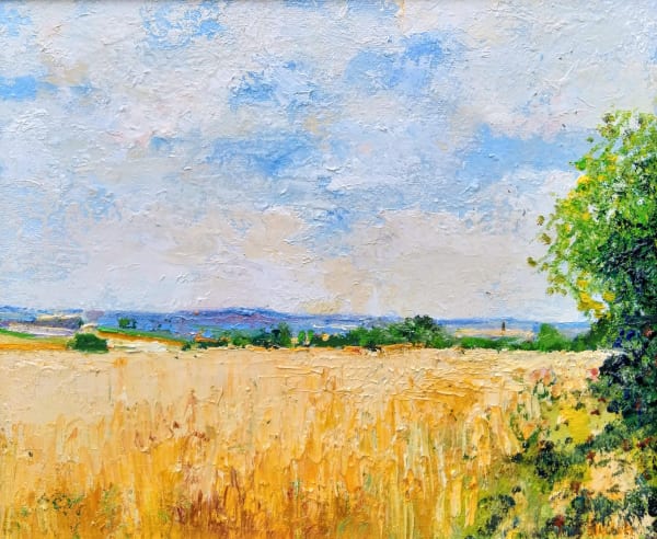 David Walsh, SUMMER BARLEY FIELD