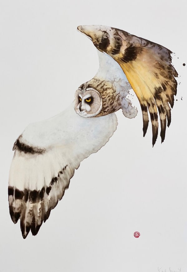 Karl Martens, SHORT EARED OWL IN FLIGHT