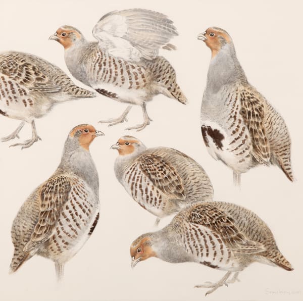 Howard Phipps, THE FOOTBRIDGE AT BISHOPSTOKE