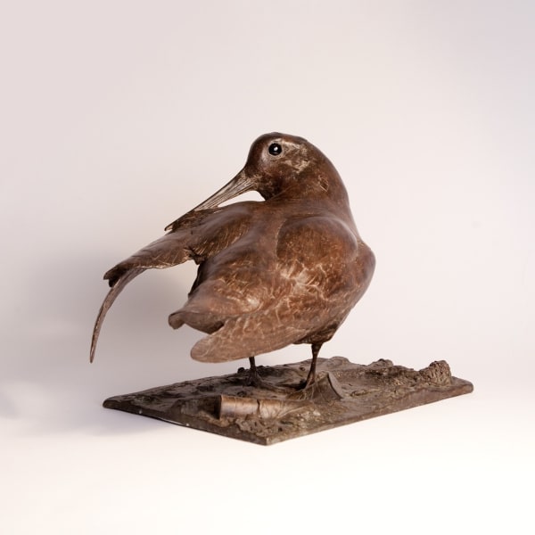 Bryan Hanlon Bronzes WOODCOCK Bronze 9 x 8 x 6 in. 22.86 x 20.32 x 15.24 cm 3/15