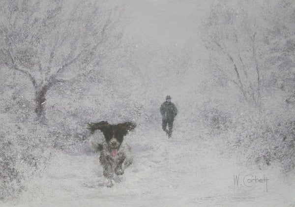 Wendy Corbett, TALLY HO!