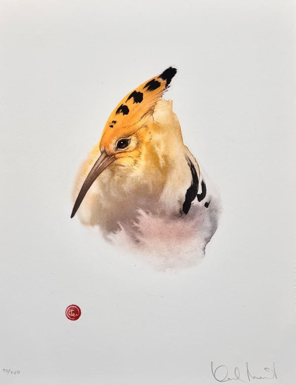 Karl Martens, HOOPOE
