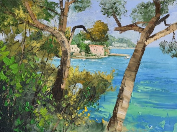 Colin Carruthers, PINES, VILLEFRANCHE