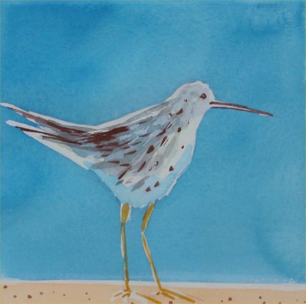 Hugh Fairfax, THE GREEN SHANK