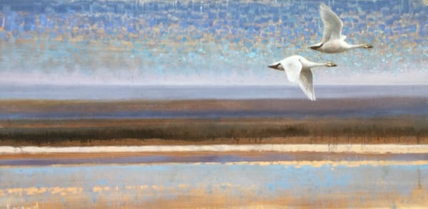 Ewoud de Groot, SWAN LAKE