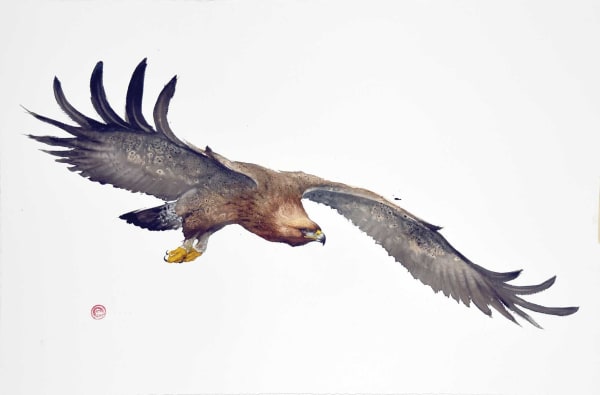 Karl Martens, WHITE TAILED EAGLE
