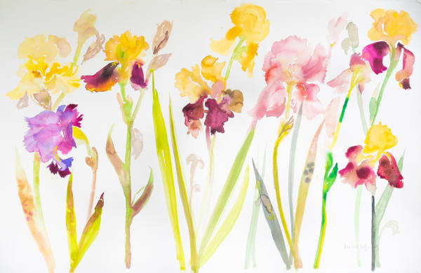 Annabel Fairfax BEARDED IRISES III Watercolour 35 x 46 in 88.9 x 116.8 cm