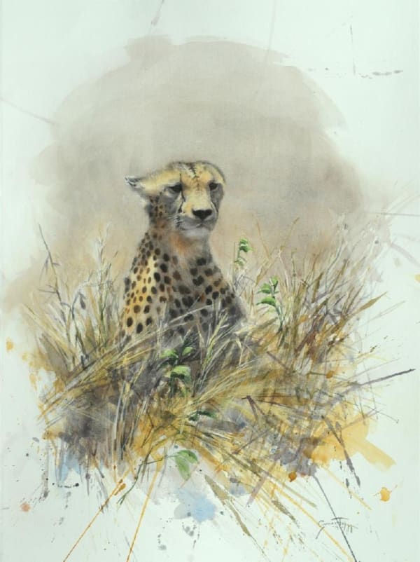 Gunnar Tryggmo, CHEETAH