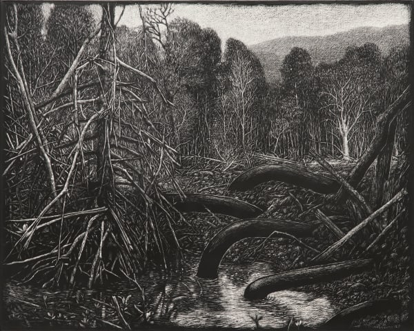 Maryanto, The Shadow behind Roots (Karimun, Jawa Islands), 2025