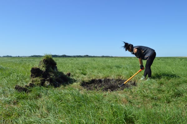Moi Tran, Everyday Work Series - Hole Dig No. 1, 2017