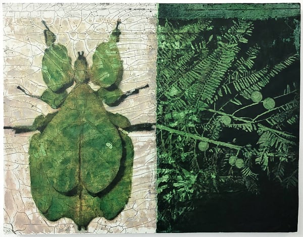 Filippo Sciascia, Clorofilliana, 2020