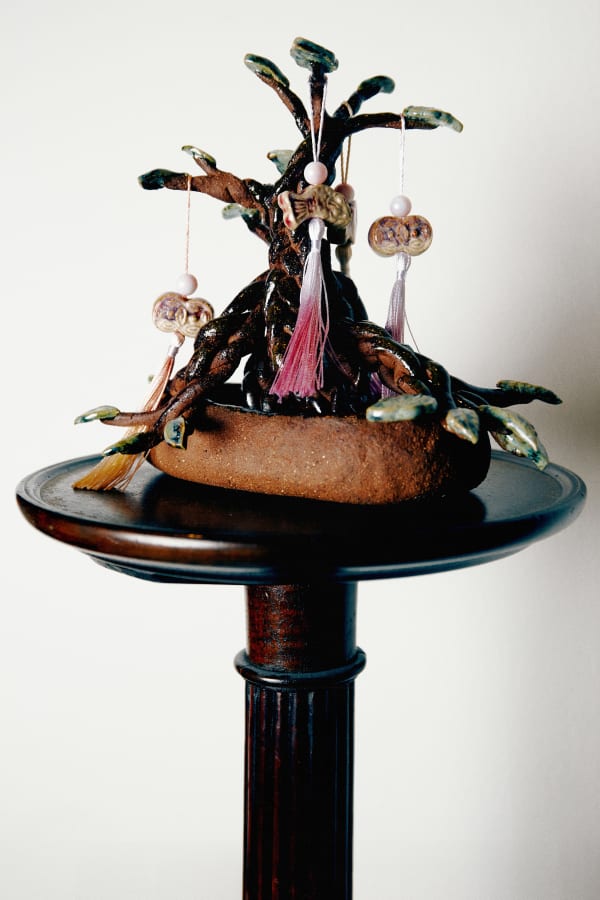 Shayne Phua, Lazy Chinese bonsai I, 2024