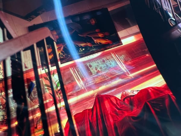 Wei Leng Tay, Revisited (“Grandaunt” home in Ipoh and Ipoh street at night, 2/3/2010, on Kodak E100VS, 120mm), 2022