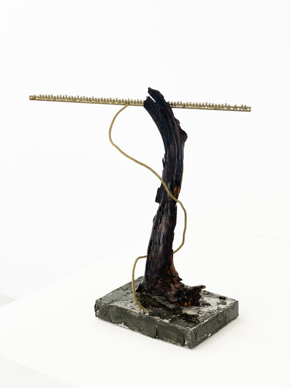 Maisarah Kamal, Bloom VI, 2023