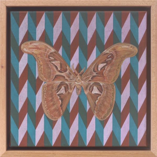 Noor Mahnun Anum, Atlas, 2024