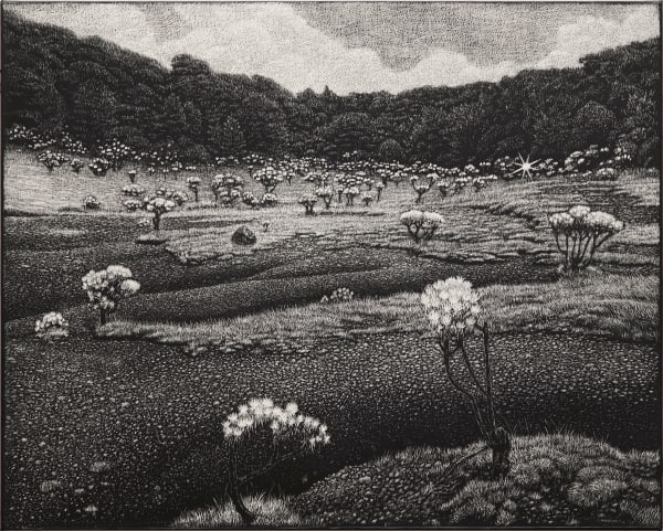 Maryanto, Humming, All the way to Rhino (MT. Pangrango), 2025