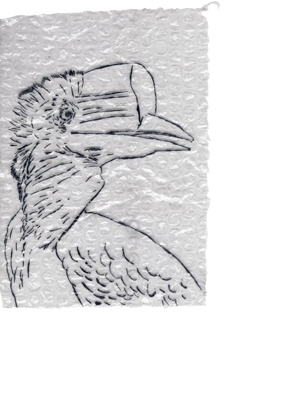 Rega Ayundya, Rhinoplax osseus 3.0, 2026