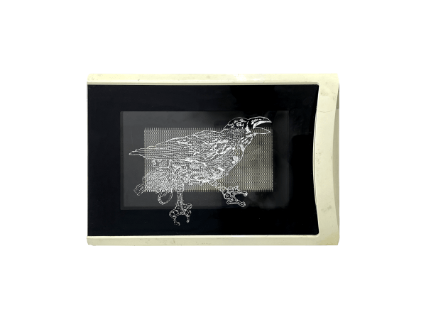 Rega Ayundya, Corvus computatoris, 2023