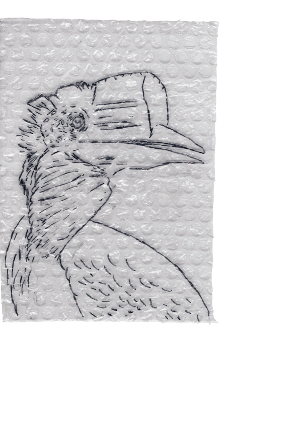 Rega Ayundya, Rhinoplax osseus 3.0 (04), 2026