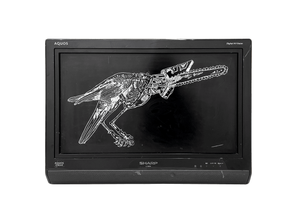 Rega Ayundya, Corvus serra, 2026