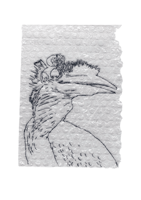 Rega Ayundya, Rhinoplax osseus 3.0 (29), 2026