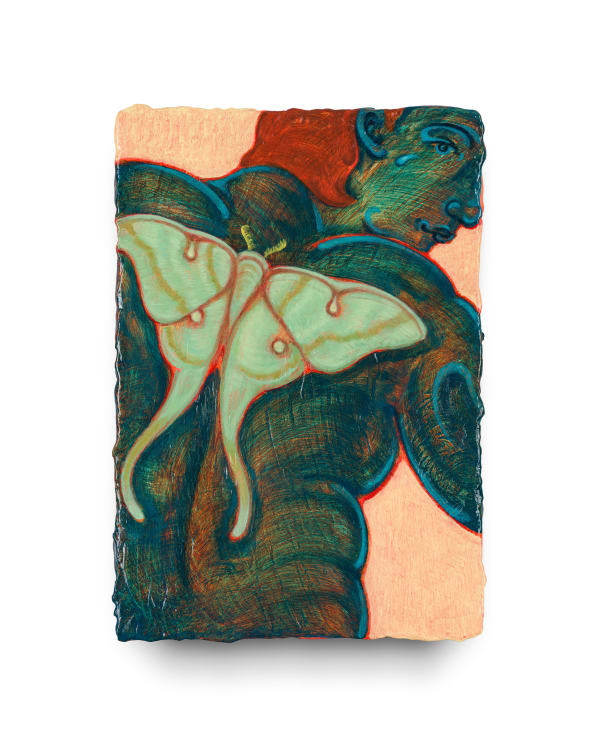 顏政豪 Yan Jheng-Hao, 趨光 Drawn Toward the Light, 2025