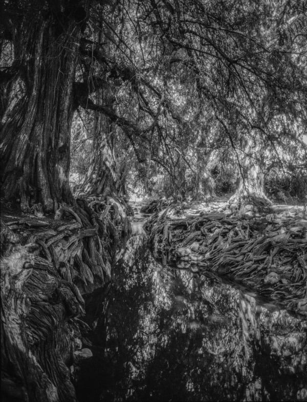 黃博志, 苦河 Río de la amargura, Year Taken: 2019 Year Printed: 2024