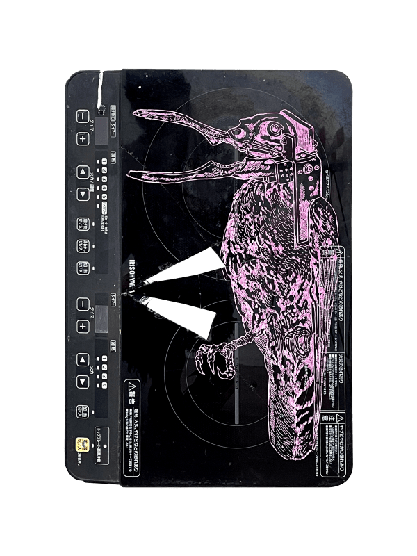 Rega Ayundya, Corvus nucifrangibulum, 2026