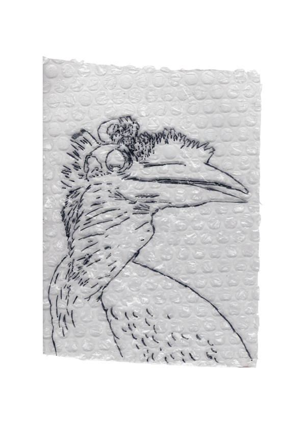 Rega Ayundya, Rhinoplax osseus 3.0 (27), 2026