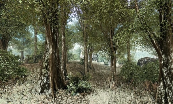 Gas Springs, From the series Rare Earth