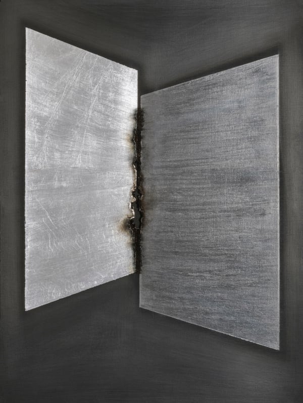 Ag-C #30, 2020 Graphite on Black Gessoed Paper, Silver Leaf, Electrified with 15,000 volts 12" x 9" (30.5 x 23 cm) Framed: Approximately 14 1/4" x 11 1/4" (36 x 28.5 cm) (DG.23805)