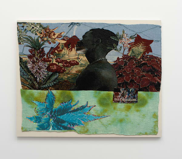 Richard Jonathan Nelson, was the password favored pitched, Venus, and black pearl, 2022