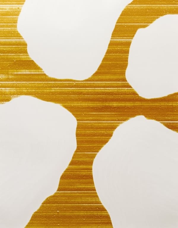 Marco Breuer, Untitled (C-1834), 2016