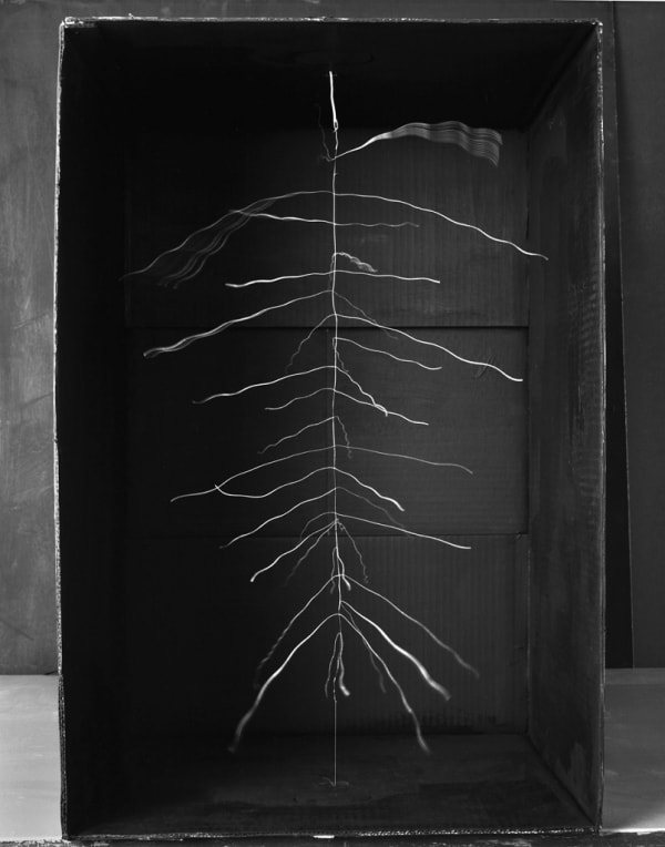 Charged threads tied to a single thread