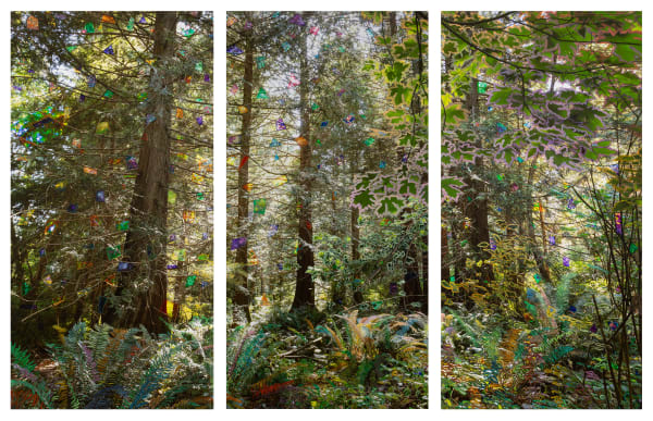 Sarah Anne Johnson, Beautiful Day, 2025